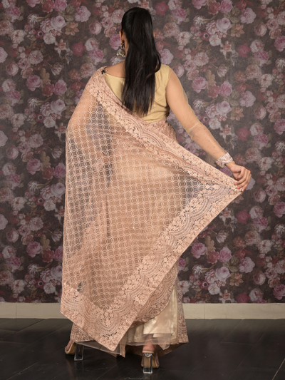 Odette Beige Thread Embroidered Net Saree with Unstitched Blouse for Women