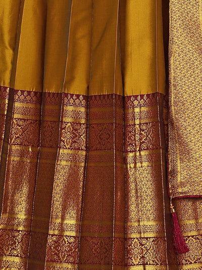 Odette Mustard  Banarasi  Woven Stitched Gown  for Women